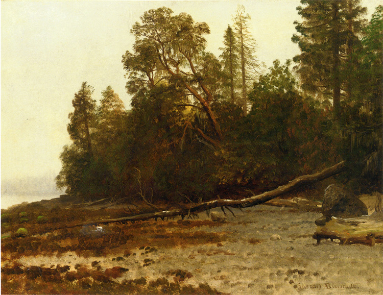 Albert Bierstadt Painting The Fallen Tree - Click Image to Close